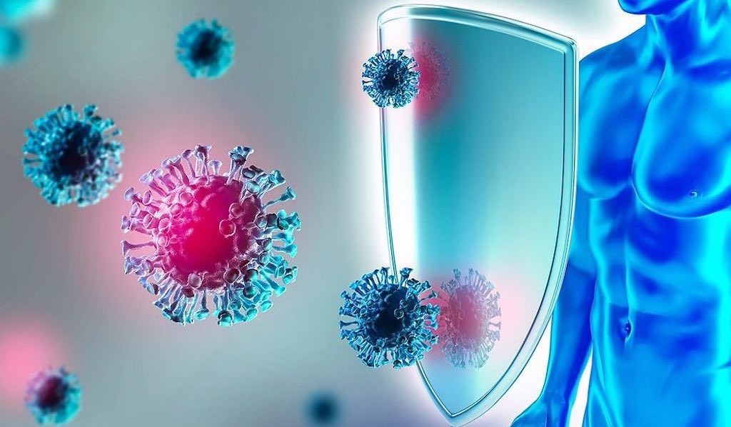 Bağışıklık Sistemi